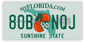 80BNQJ  license plate in FL