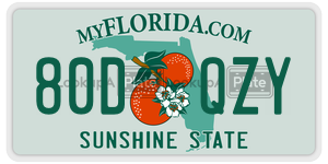 80DQZY  license plate in FL