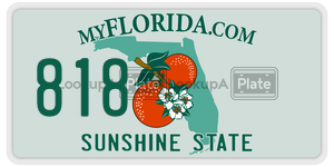 818 license plate in Florida