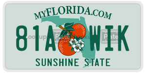 81AWIK license plate in Florida