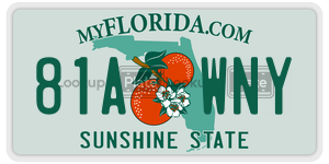 81AWNY  license plate in FL