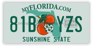 81BYZS  license plate in FL