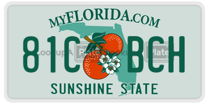 81CBCH license plate in Florida