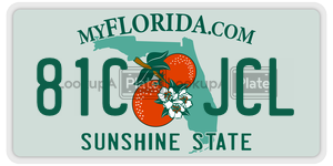 81CJCL  license plate in FL