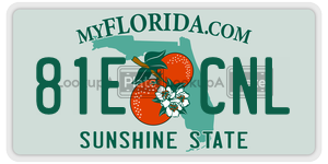 81ECNL  license plate in FL