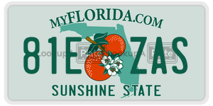 81EZAS  license plate in FL