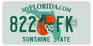 822FK license plate in Florida