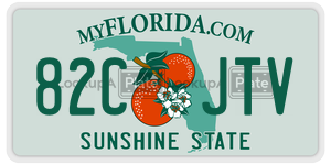 82CJTV  license plate in FL