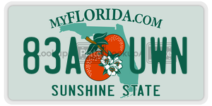 83AUWN  license plate in FL