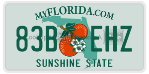 83BEHZ license plate in Florida