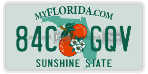 84CGQV license plate in Florida