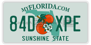 84DXPE  license plate in FL