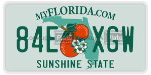 84EXGW  license plate in FL
