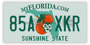 85AXKR  license plate in FL