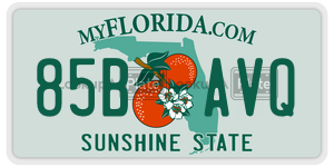 85BAVQ  license plate in FL
