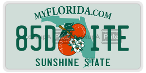 85DITE  license plate in FL