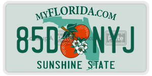 85DNYJ  license plate in FL
