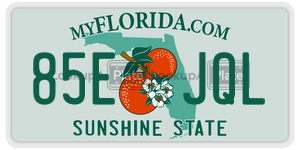 85EJQL  license plate in FL