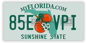 85EVPI  license plate in FL