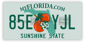 85EYJL  license plate in FL