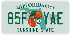 85FYAE  license plate in FL