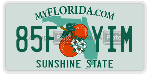 85FYIM  license plate in FL