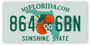 8646BN  license plate in FL