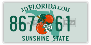 86761  license plate in FL