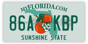 86AKBP  license plate in FL