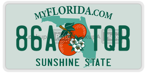 86ATQB  license plate in FL