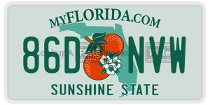 86DNVW  license plate in FL
