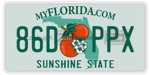 86DPPX  license plate in FL