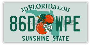 86DWPE  license plate in FL