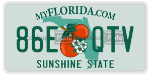 86EQTV  license plate in FL
