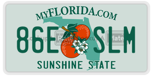 86ESLM  license plate in FL