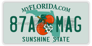 87AMAG  license plate in FL