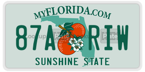 87ARIW license plate in Florida