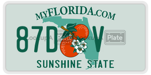 87DV  license plate in FL