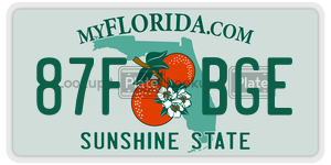 87FBGE  license plate in FL