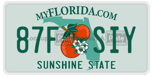 87FSIY  license plate in FL