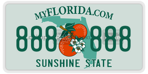 888888 license plate in Florida