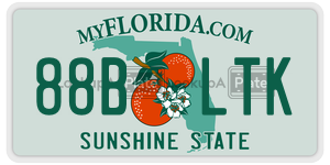 88BLTK  license plate in FL