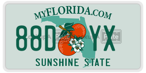 88DYX  license plate in FL