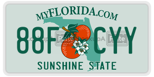 88FCYY  license plate in FL