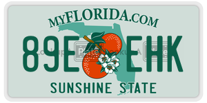 89EEHK license plate in Florida