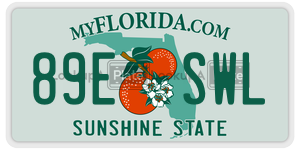 89ESWL  license plate in FL