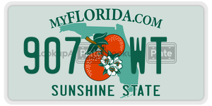 907WT license plate in Florida