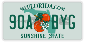 90ABYG  license plate in FL