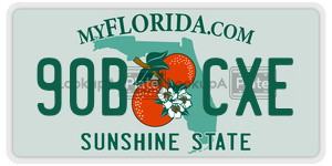 90BCXE license plate in Florida