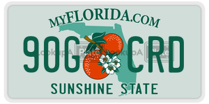 90GCRD  license plate in FL